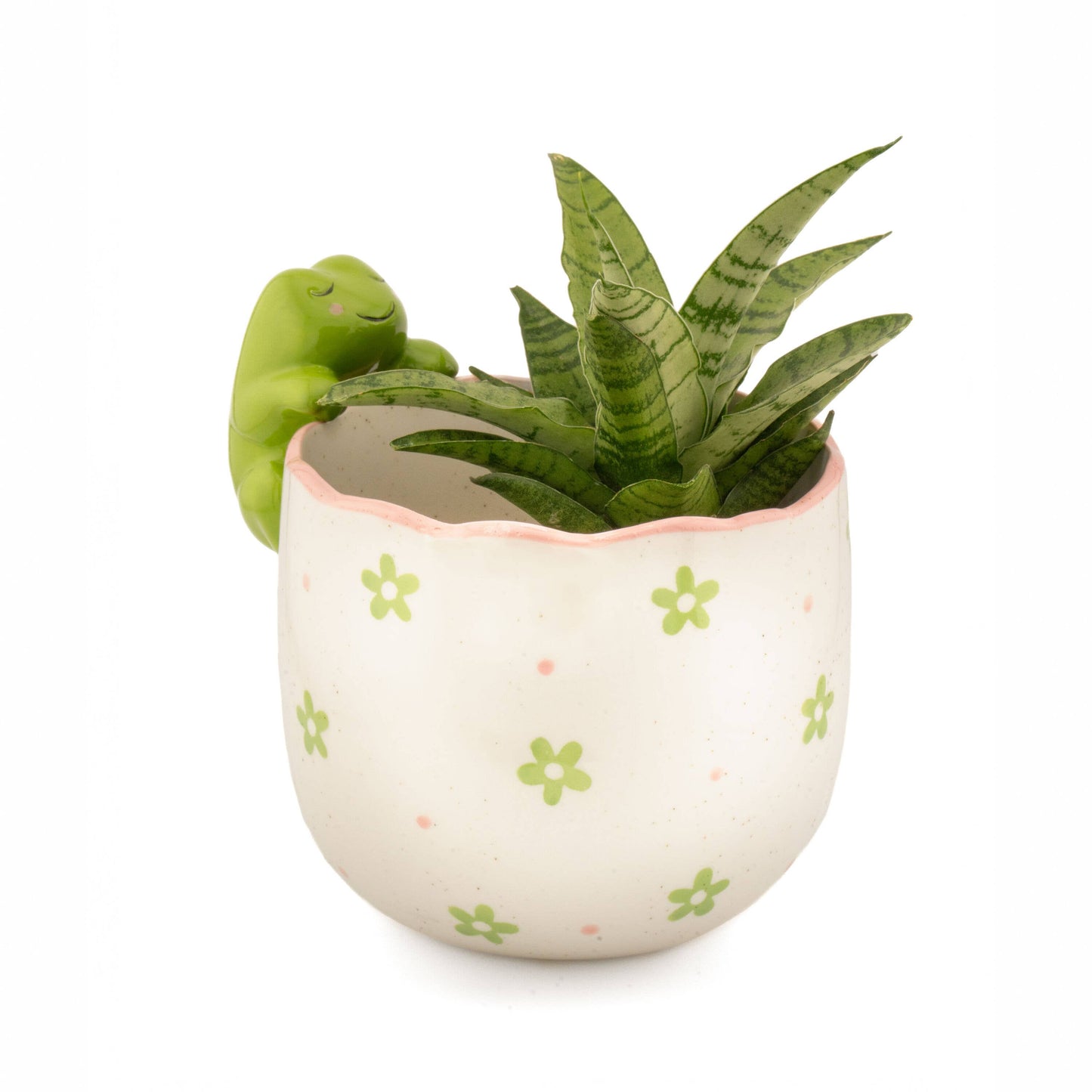 Pot - Grenouille Espionne